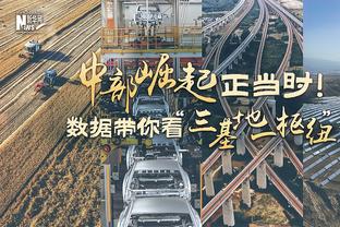 奥斯梅恩连续4个意甲赛季进球上双 队史第3人&比肩马拉多纳